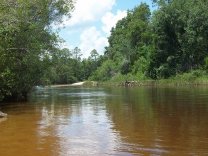 Beautiful shot of North Santa Rosa County's Coldwater Creek. Hundreds enjoyed the beautiful day Saturday canoeing and tubing.