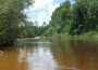 Beautiful shot of North Santa Rosa County's Coldwater Creek. Hundreds enjoyed the beautiful day Saturday canoeing and tubing.